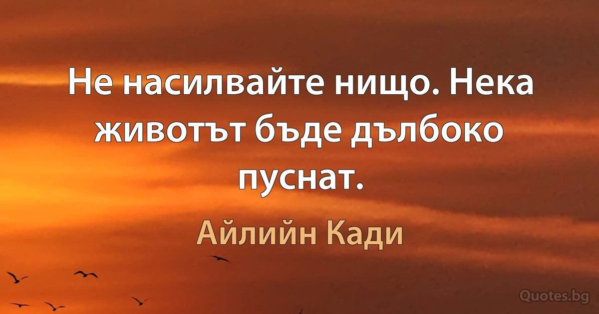 Не насилвайте нищо. Нека животът бъде дълбоко пуснат. (Айлийн Кади)