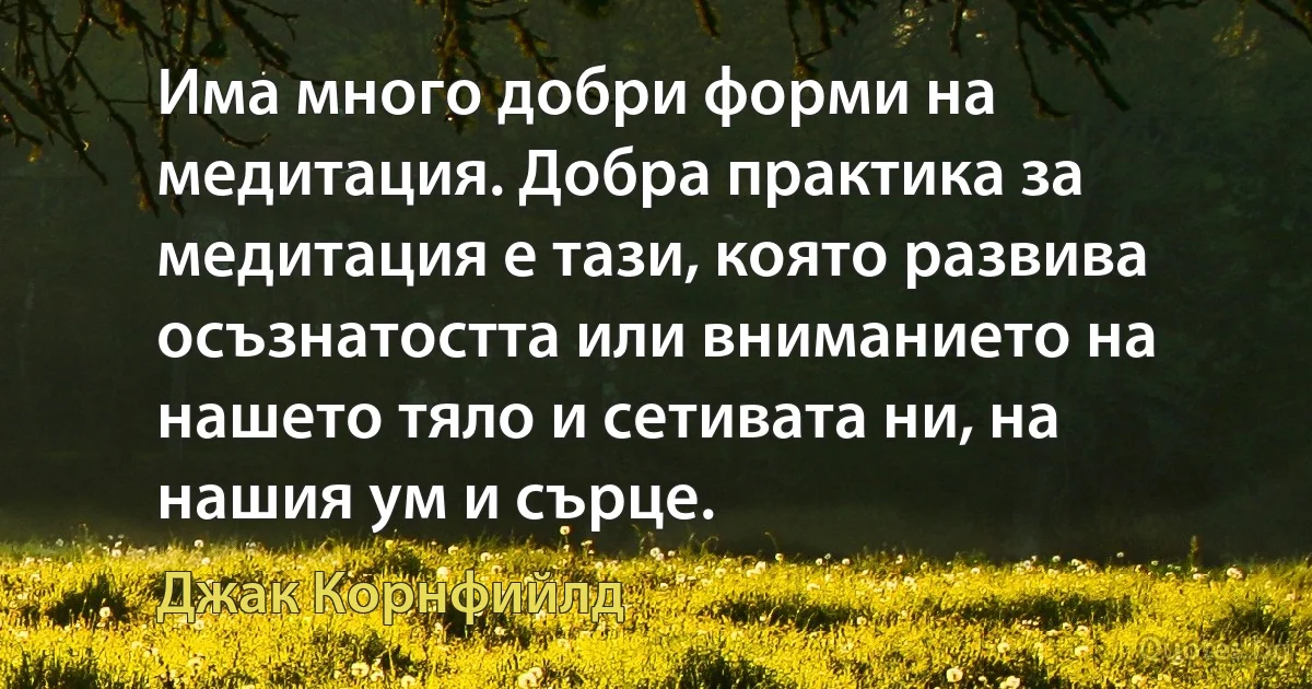 Има много добри форми на медитация. Добра практика за медитация е тази, която развива осъзнатостта или вниманието на нашето тяло и сетивата ни, на нашия ум и сърце. (Джак Корнфийлд)