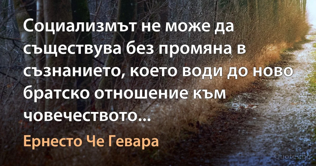 Социализмът не може да съществува без промяна в съзнанието, което води до ново братско отношение към човечеството... (Ернесто Че Гевара)