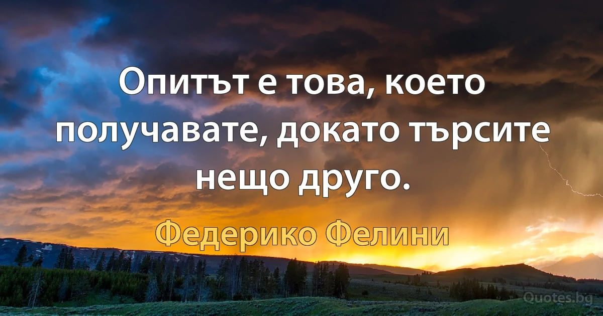 Опитът е това, което получавате, докато търсите нещо друго. (Федерико Фелини)