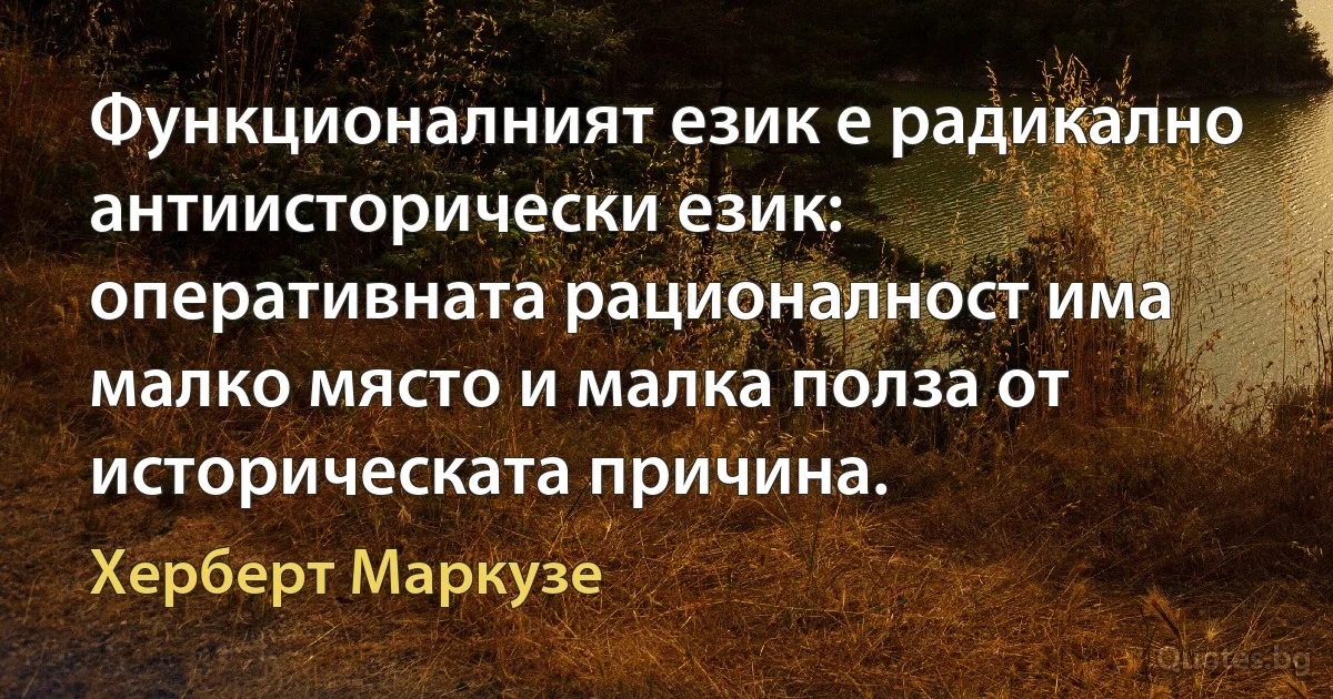 Функционалният език е радикално антиисторически език: оперативната рационалност има малко място и малка полза от историческата причина. (Херберт Маркузе)