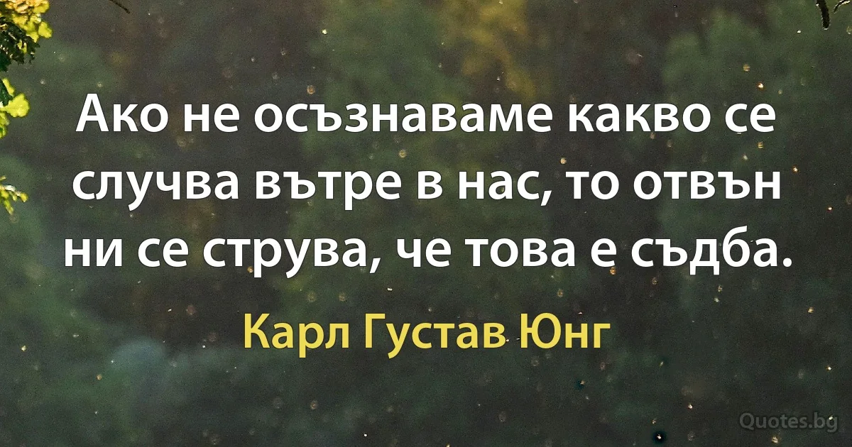 Ако не осъзнаваме какво се случва вътре в нас, то отвън ни се струва, че това е съдба. (Карл Густав Юнг)