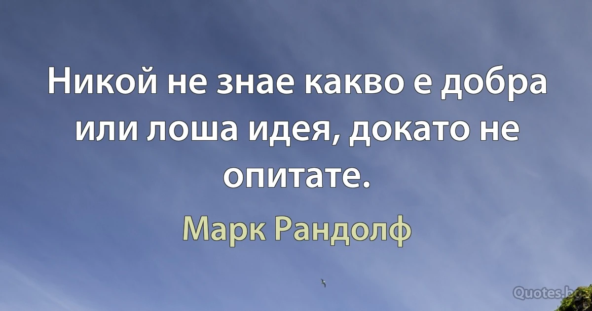 Никой не знае какво е добра или лоша идея, докато не опитате. (Марк Рандолф)