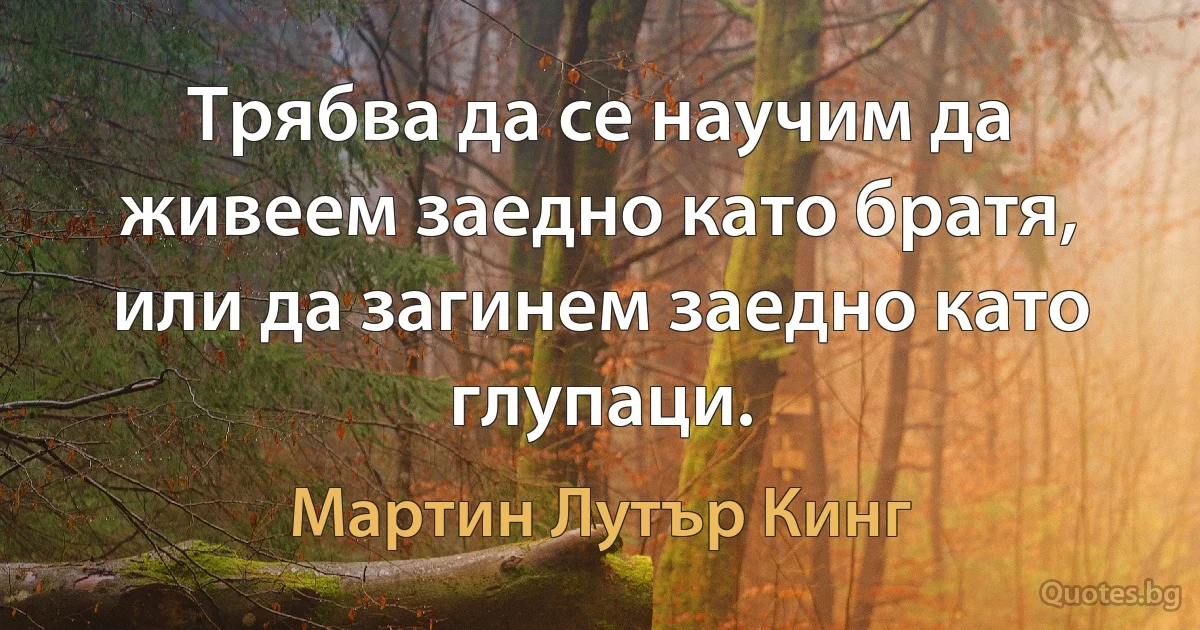 Трябва да се научим да живеем заедно като братя, или да загинем заедно като глупаци. (Мартин Лутър Кинг)