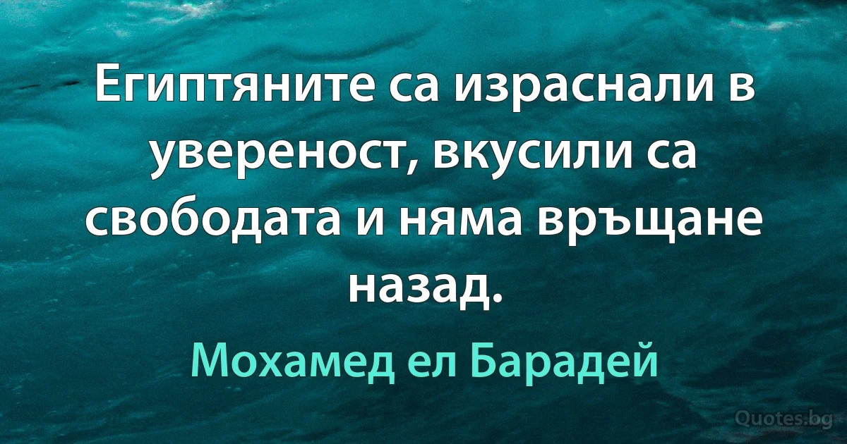 Египтяните са израснали в увереност, вкусили са свободата и няма връщане назад. (Мохамед ел Барадей)