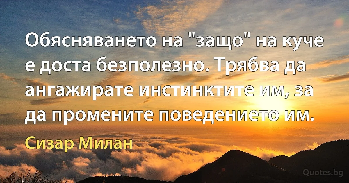 Обясняването на "защо" на куче е доста безполезно. Трябва да ангажирате инстинктите им, за да промените поведението им. (Сизар Милан)