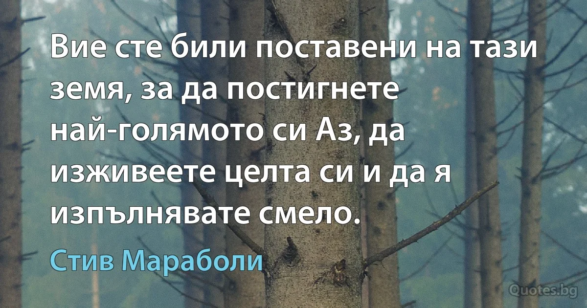 Вие сте били поставени на тази земя, за да постигнете най-голямото си Аз, да изживеете целта си и да я изпълнявате смело. (Стив Мараболи)