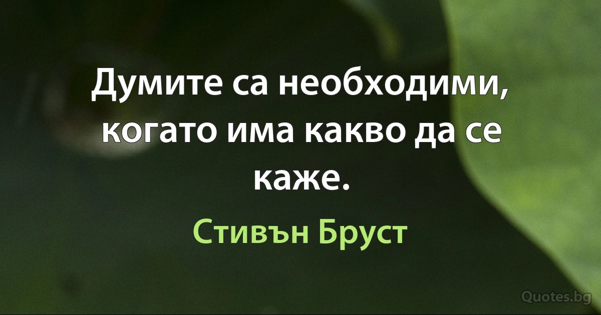 Думите са необходими, когато има какво да се каже. (Стивън Бруст)