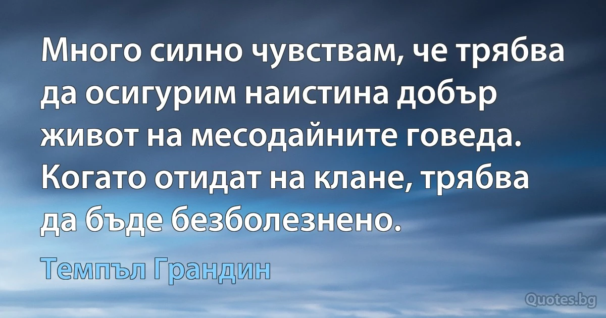 Много силно чувствам, че трябва да осигурим наистина добър живот на месодайните говеда. Когато отидат на клане, трябва да бъде безболезнено. (Темпъл Грандин)