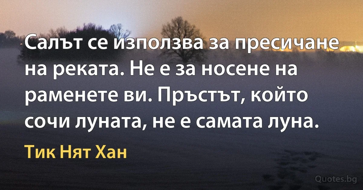 Салът се използва за пресичане на реката. Не е за носене на раменете ви. Пръстът, който сочи луната, не е самата луна. (Тик Нят Хан)