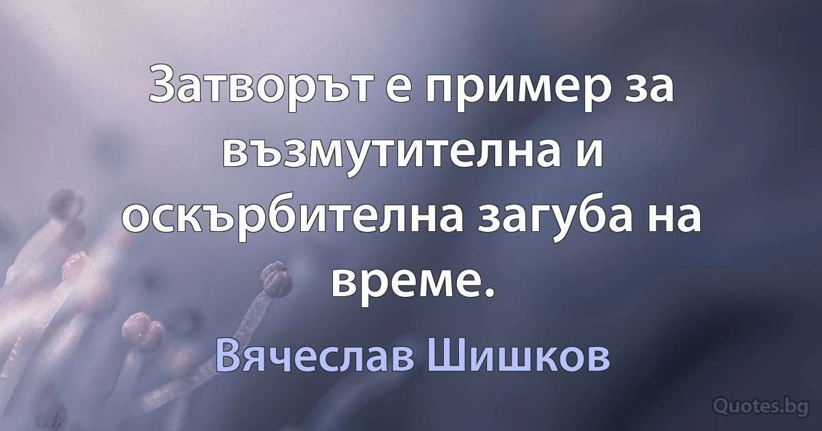 Затворът е пример за възмутителна и оскърбителна загуба на време. (Вячеслав Шишков)