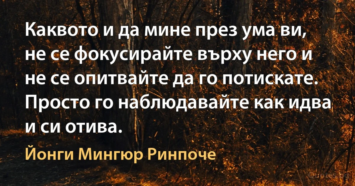 Каквото и да мине през ума ви, не се фокусирайте върху него и не се опитвайте да го потискате. Просто го наблюдавайте как идва и си отива. (Йонги Мингюр Ринпоче)