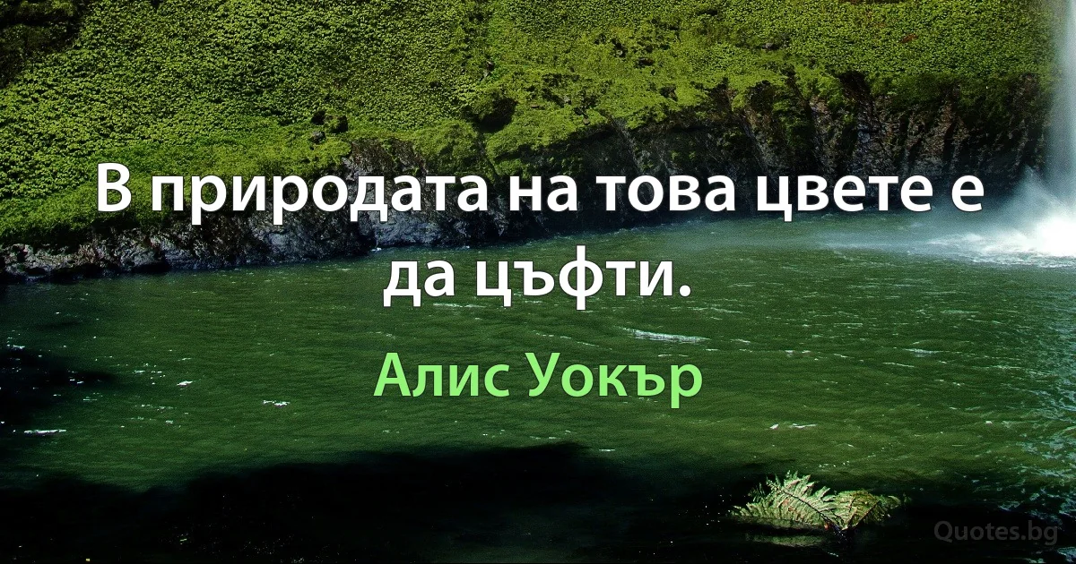 В природата на това цвете е да цъфти. (Алис Уокър)