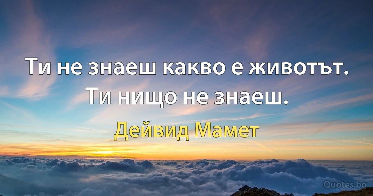 Ти не знаеш какво е животът. Ти нищо не знаеш. (Дейвид Мамет)