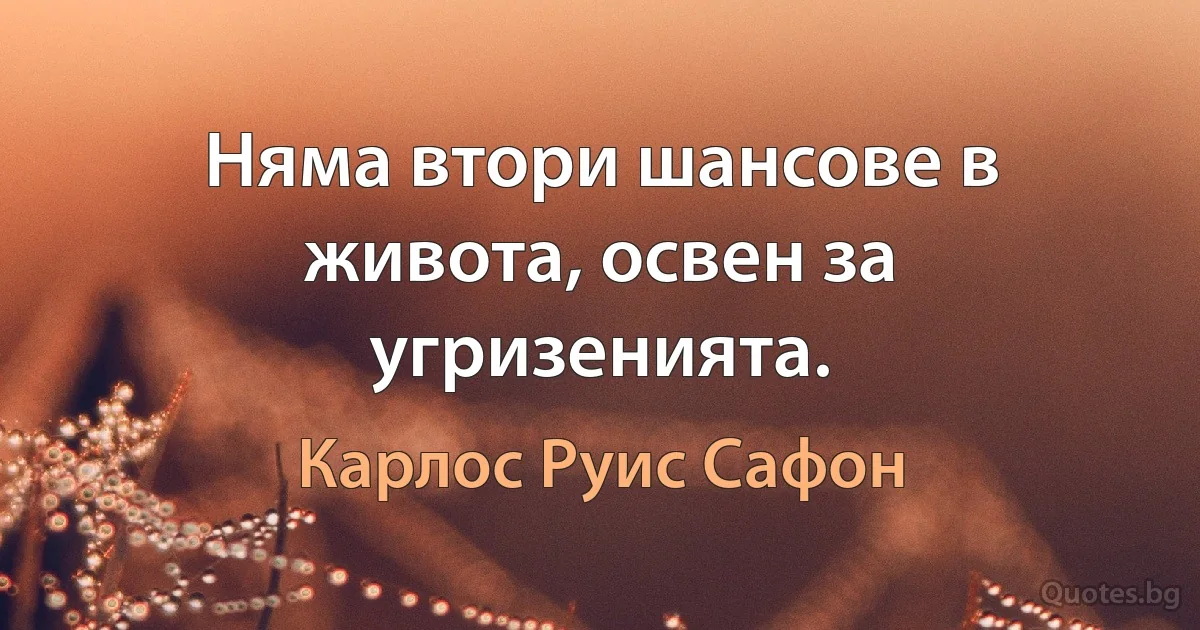 Няма втори шансове в живота, освен за угризенията. (Карлос Руис Сафон)