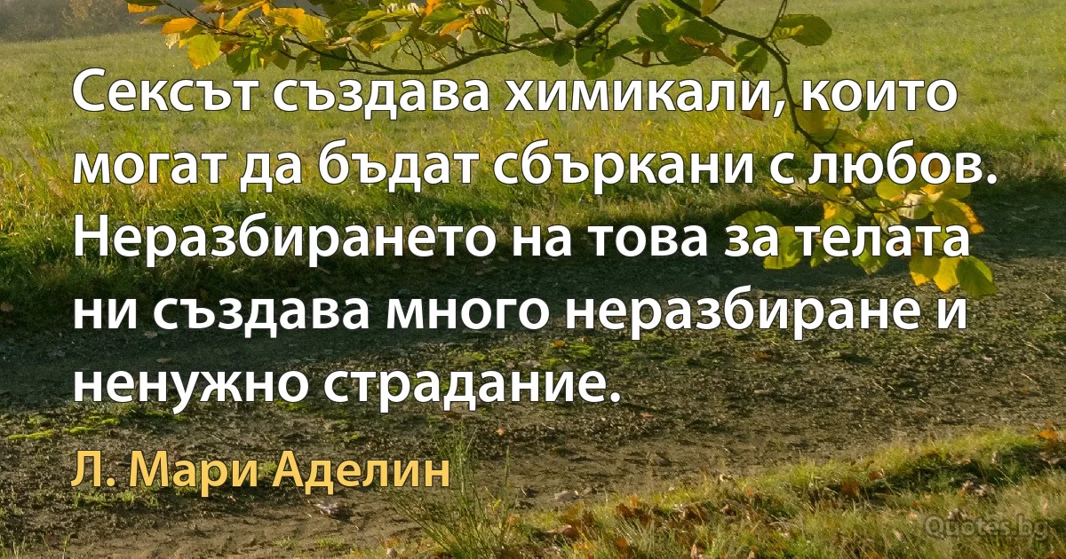 Сексът създава химикали, които могат да бъдат сбъркани с любов. Неразбирането на това за телата ни създава много неразбиране и ненужно страдание. (Л. Мари Аделин)