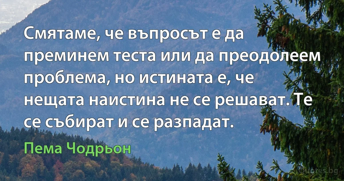 Смятаме, че въпросът е да преминем теста или да преодолеем проблема, но истината е, че нещата наистина не се решават. Те се събират и се разпадат. (Пема Чодрьон)