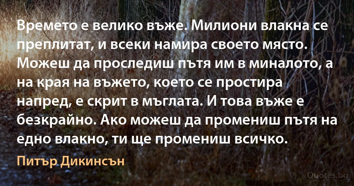 Времето е велико въже. Милиони влакна се преплитат, и всеки намира своето място. Можеш да проследиш пътя им в миналото, а на края на въжето, което се простира напред, е скрит в мъглата. И това въже е безкрайно. Ако можеш да промениш пътя на едно влакно, ти ще промениш всичко. (Питър Дикинсън)