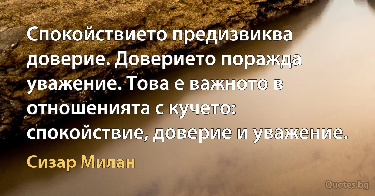 Спокойствието предизвиква доверие. Доверието поражда уважение. Това е важното в отношенията с кучето: спокойствие, доверие и уважение. (Сизар Милан)