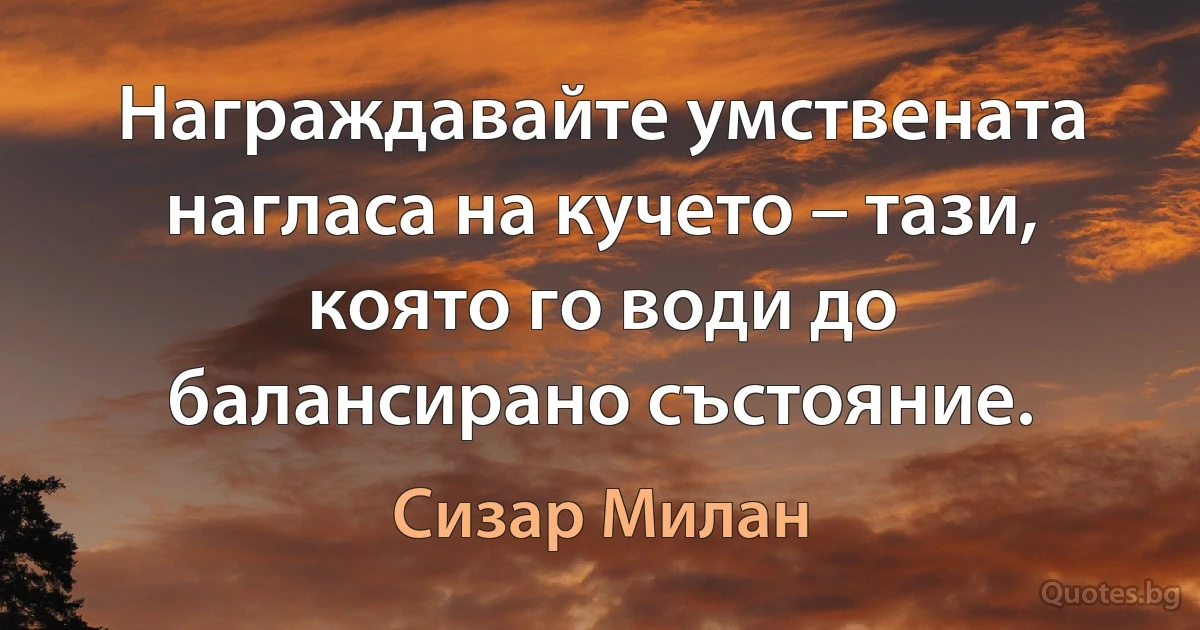 Награждавайте умствената нагласа на кучето – тази, която го води до балансирано състояние. (Сизар Милан)