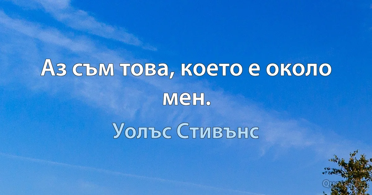 Аз съм това, което е около мен. (Уолъс Стивънс)