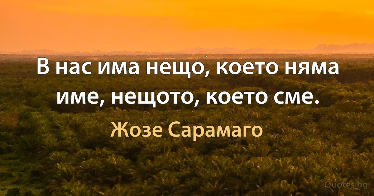 В нас има нещо, което няма име, нещото, което сме. (Жозе Сарамаго)