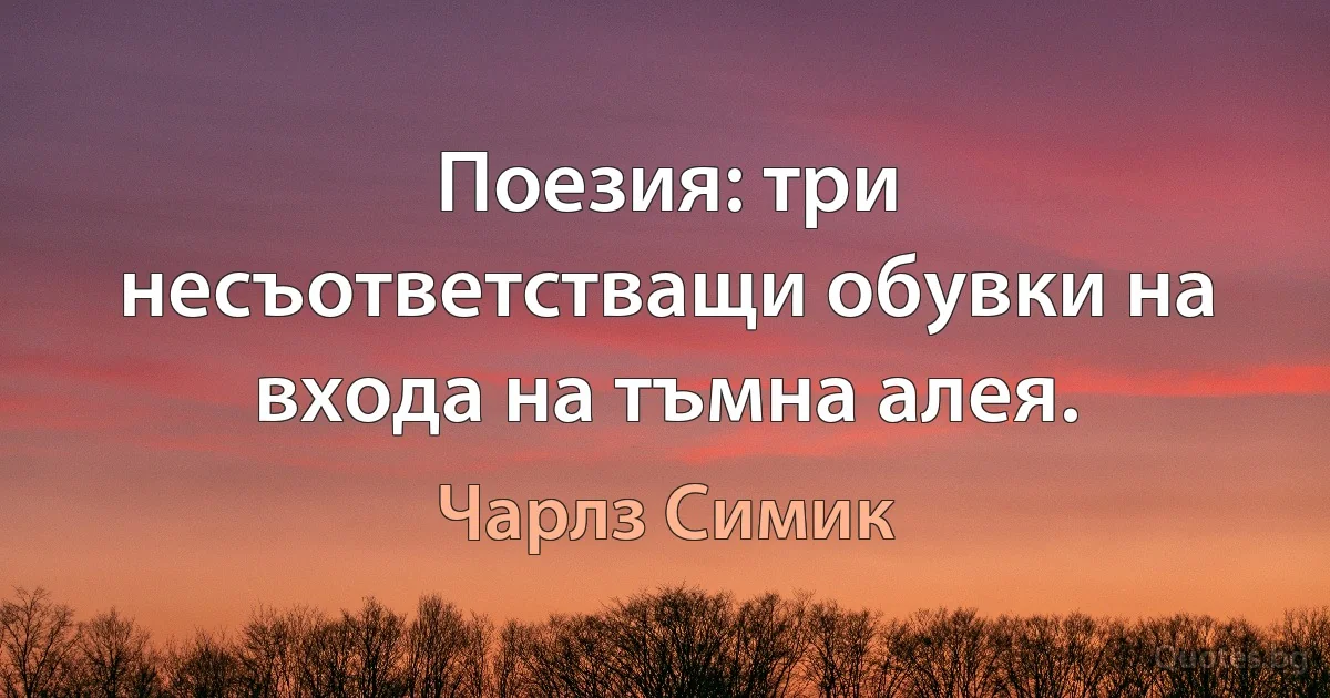 Поезия: три несъответстващи обувки на входа на тъмна алея. (Чарлз Симик)