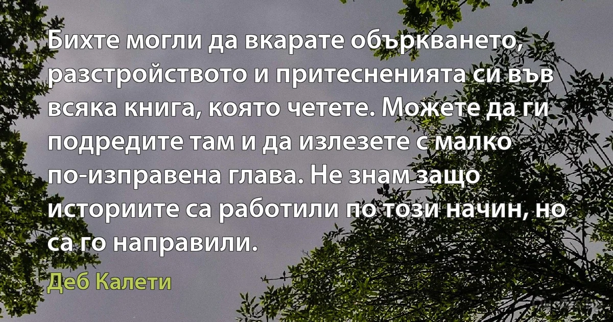 Бихте могли да вкарате объркването, разстройството и притесненията си във всяка книга, която четете. Можете да ги подредите там и да излезете с малко по-изправена глава. Не знам защо историите са работили по този начин, но са го направили. (Деб Калети)