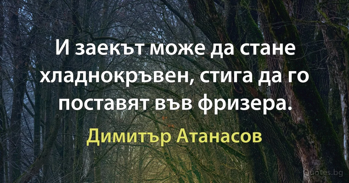 И заекът може да стане хладнокръвен, стига да го поставят във фризера. (Димитър Атанасов)