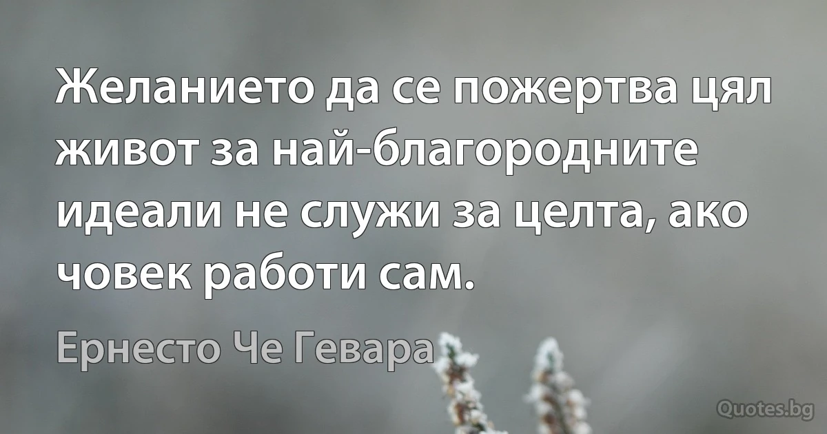 Желанието да се пожертва цял живот за най-благородните идеали не служи за целта, ако човек работи сам. (Ернесто Че Гевара)