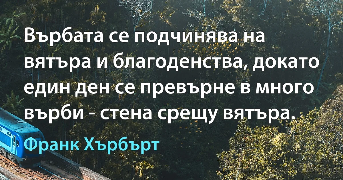 Върбата се подчинява на вятъра и благоденства, докато един ден се превърне в много върби - стена срещу вятъра. (Франк Хърбърт)