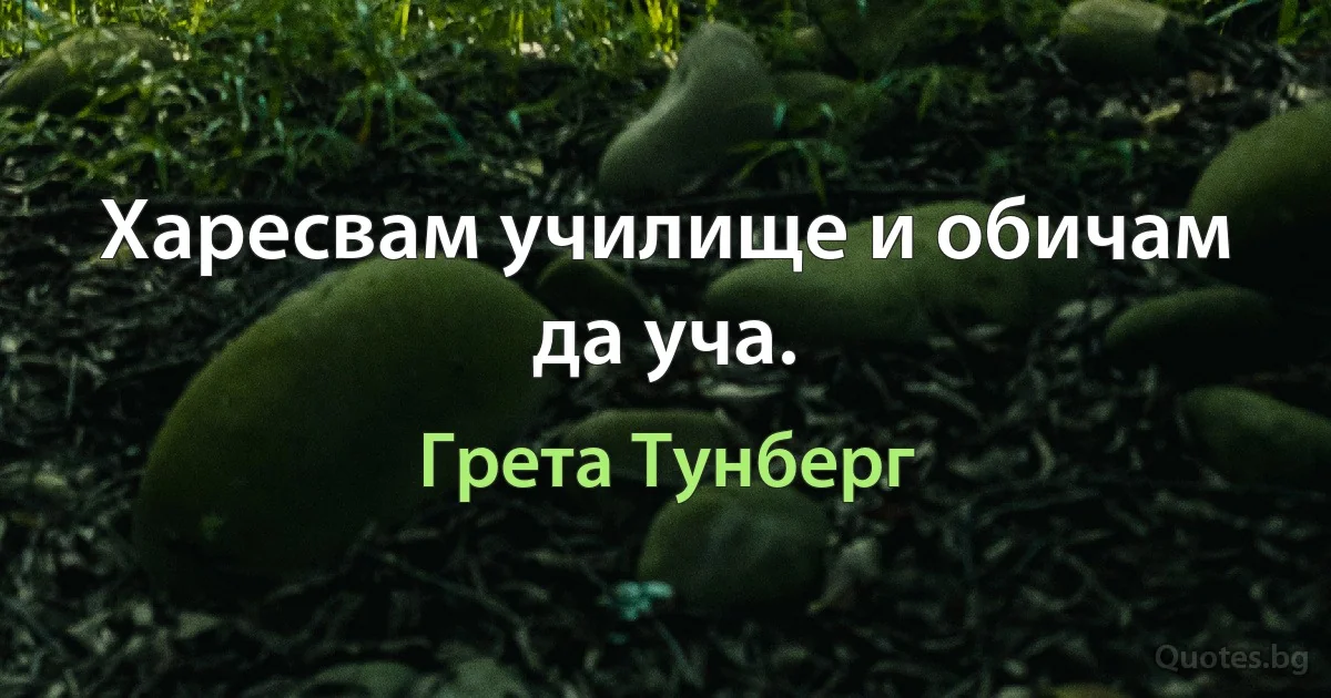 Харесвам училище и обичам да уча. (Грета Тунберг)