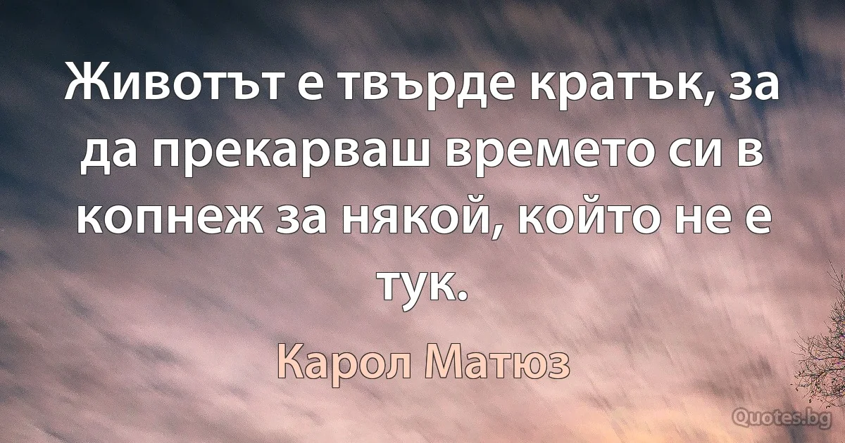 Животът е твърде кратък, за да прекарваш времето си в копнеж за някой, който не е тук. (Карол Матюз)