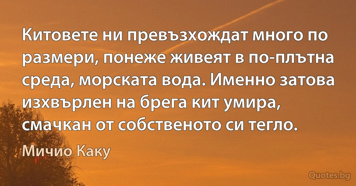 Китовете ни превъзхождат много по размери, понеже живеят в по-плътна среда, морската вода. Именно затова изхвърлен на брега кит умира, смачкан от собственото си тегло. (Мичио Каку)