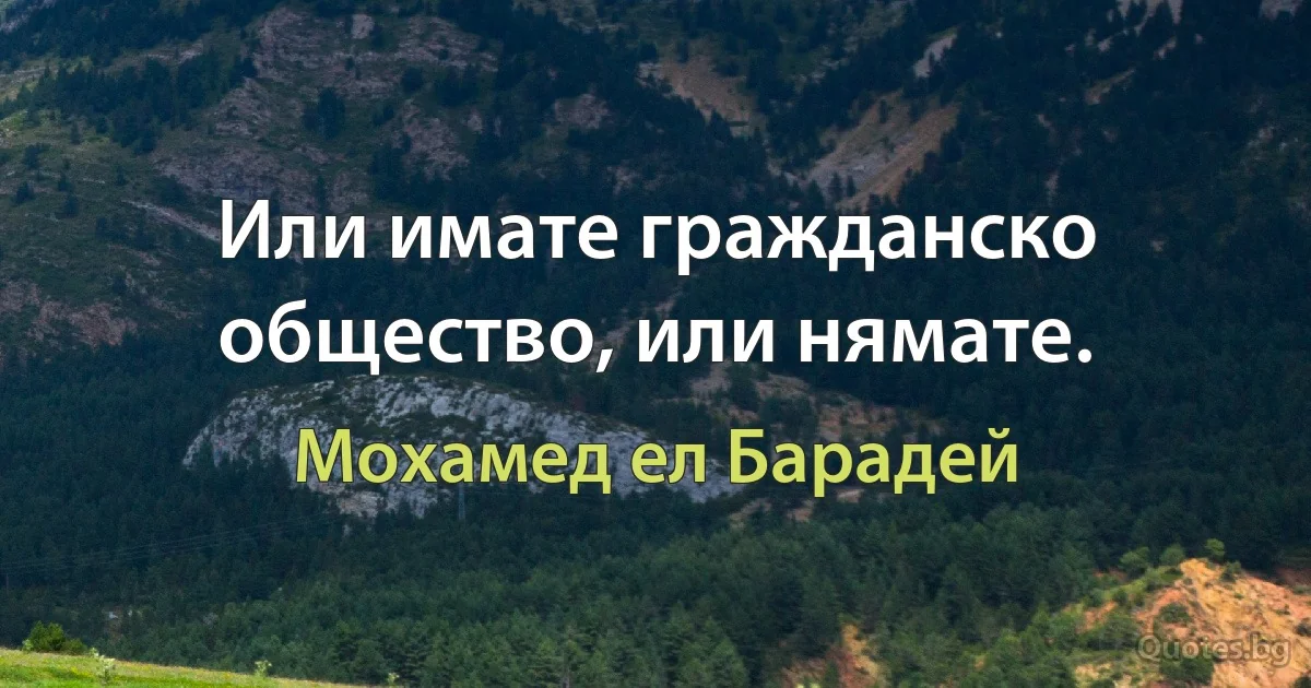 Или имате гражданско общество, или нямате. (Мохамед ел Барадей)