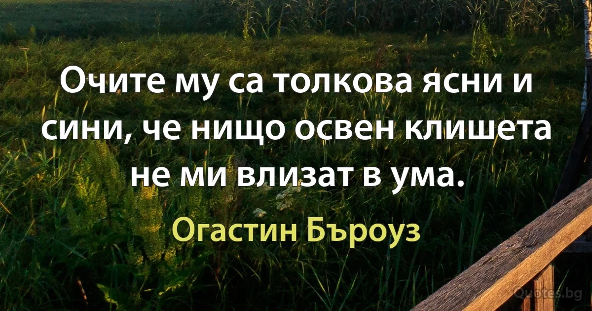 Очите му са толкова ясни и сини, че нищо освен клишета не ми влизат в ума. (Огастин Бъроуз)