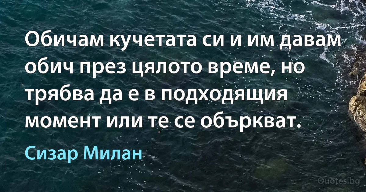 Обичам кучетата си и им давам обич през цялото време, но трябва да е в подходящия момент или те се объркват. (Сизар Милан)