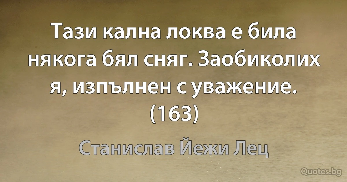 Тази кална локва е била някога бял сняг. Заобиколих я, изпълнен с уважение. (163) (Станислав Йежи Лец)