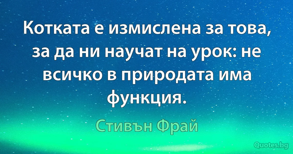 Котката е измислена за това, за да ни научат на урок: не всичко в природата има функция. (Стивън Фрай)