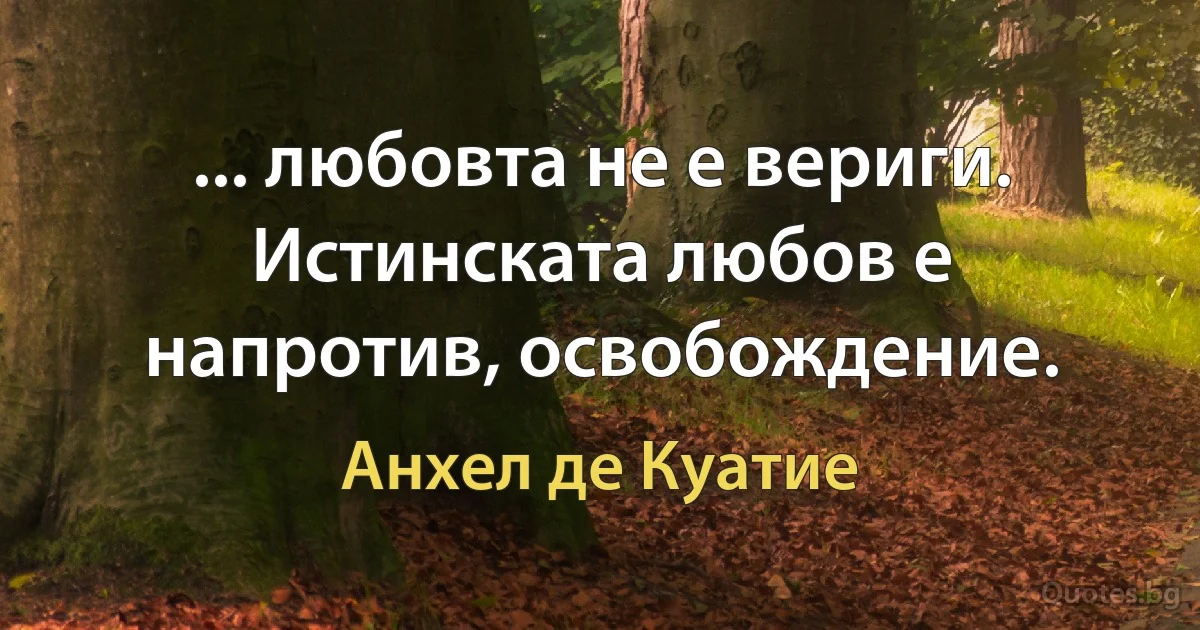 ... любовта не е вериги. Истинската любов е напротив, освобождение. (Анхел де Куатие)