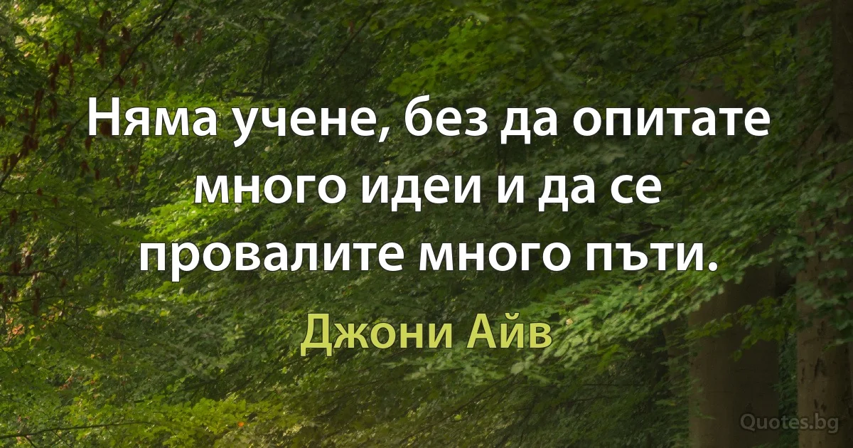 Няма учене, без да опитате много идеи и да се провалите много пъти. (Джони Айв)