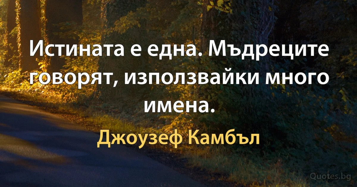 Истината е една. Мъдреците говорят, използвайки много имена. (Джоузеф Камбъл)