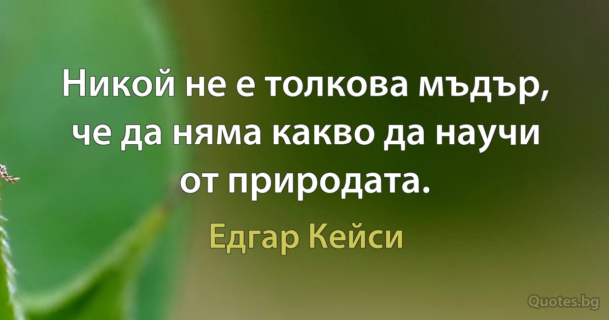 Никой не е толкова мъдър, че да няма какво да научи от природата. (Едгар Кейси)