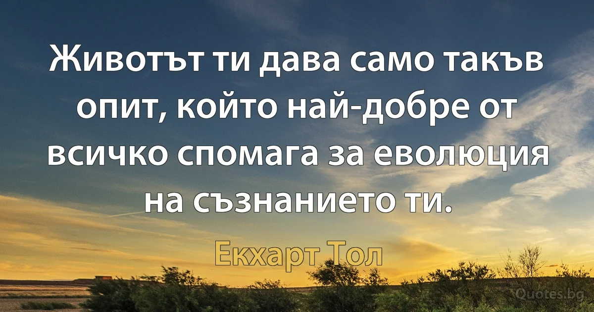 Животът ти дава само такъв опит, който най-добре от всичко спомага за еволюция на съзнанието ти. (Екхарт Тол)