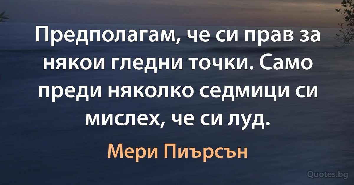 Предполагам, че си прав за някои гледни точки. Само преди няколко седмици си мислех, че си луд. (Мери Пиърсън)