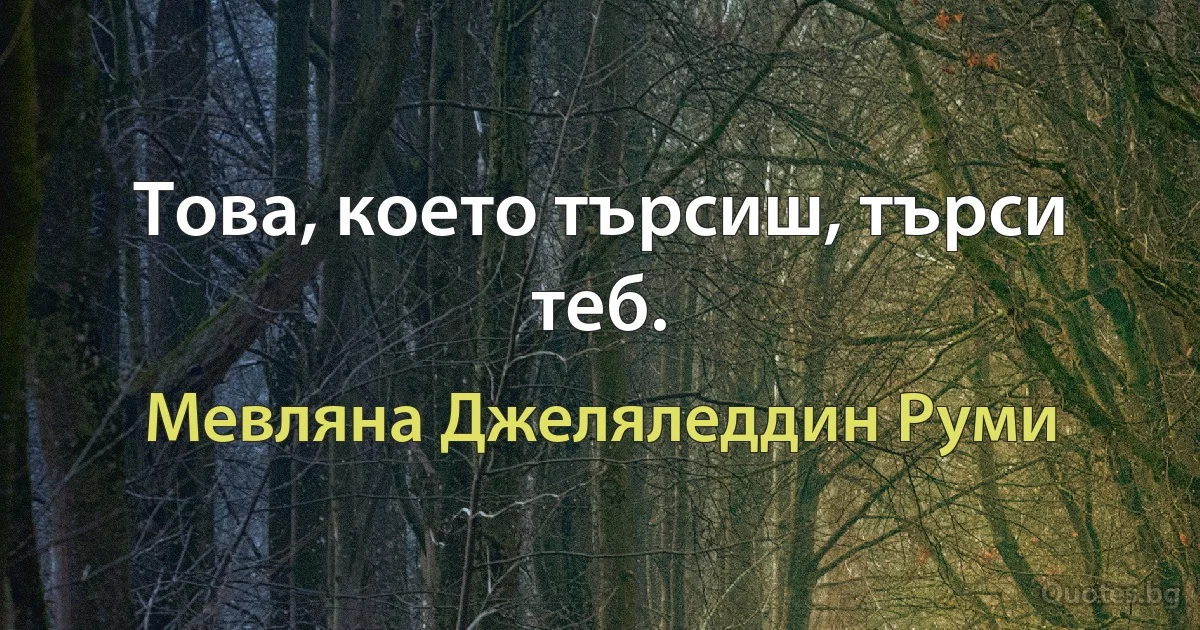 Това, което търсиш, търси теб. (Мевляна Джеляледдин Руми)