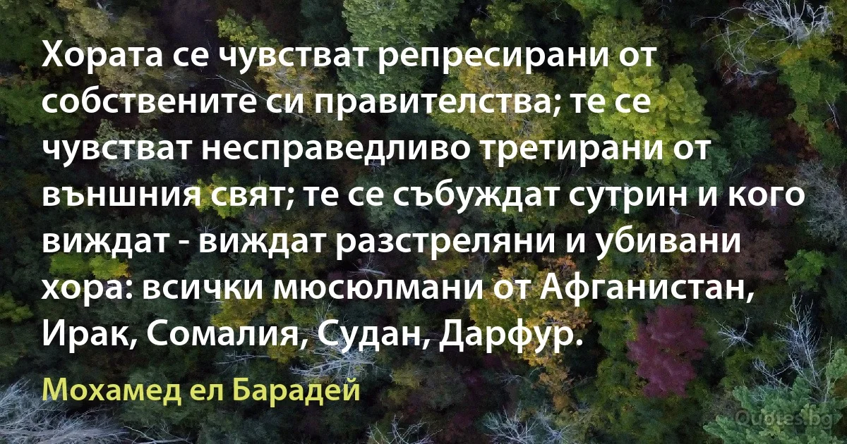 Хората се чувстват репресирани от собствените си правителства; те се чувстват несправедливо третирани от външния свят; те се събуждат сутрин и кого виждат - виждат разстреляни и убивани хора: всички мюсюлмани от Афганистан, Ирак, Сомалия, Судан, Дарфур. (Мохамед ел Барадей)