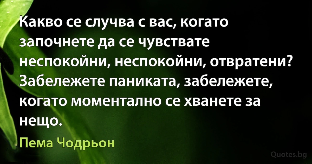 Какво се случва с вас, когато започнете да се чувствате неспокойни, неспокойни, отвратени? Забележете паниката, забележете, когато моментално се хванете за нещо. (Пема Чодрьон)