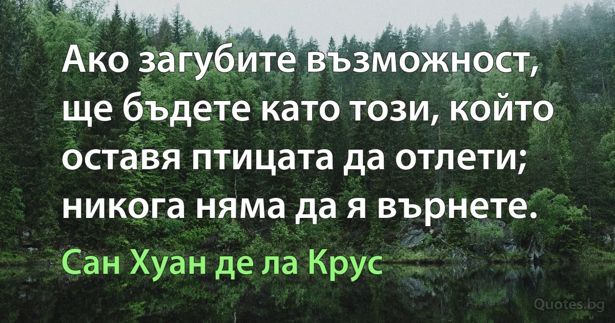 Ако загубите възможност, ще бъдете като този, който оставя птицата да отлети; никога няма да я върнете. (Сан Хуан де ла Крус)