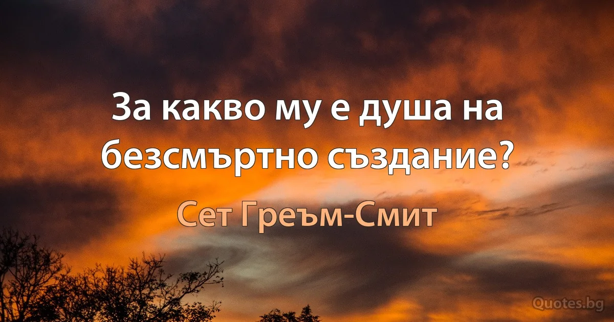 За какво му е душа на безсмъртно създание? (Сет Греъм-Смит)